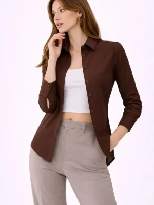 Women's Brown Classic Collar Buttoned Long Sleeve Daily Office Shirt