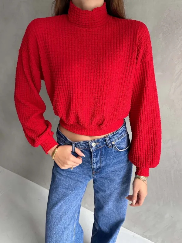 Turtleneck Textured Crop Blouse Red 4