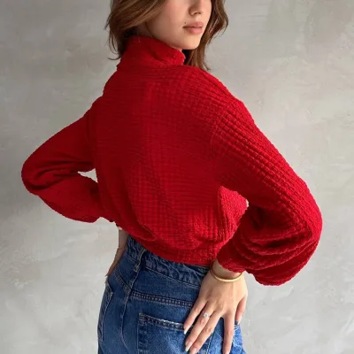 Turtleneck Textured Crop Blouse Red 5